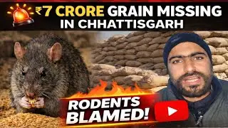 26000 Quintal Grain Missing,Officials Blame Rodents and Insects | Yeh Kya Horaha Hai?