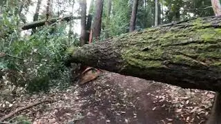 One Last Lap for the year; Wilder Ranch to UCSC