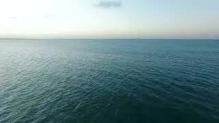 Marine Life Magic
