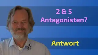 F. Depke: Sind die Sch&uuml;&szlig;ler-Salze 2 und 5 Antagonisten, die nicht zusammen genommen werden d&uuml;rfen?
