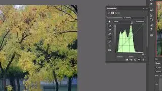 Corrección de color con ajuste de curvas en Photoshop