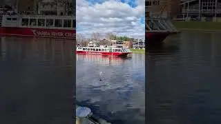 Melbourne Yarra River Cruise #yarrariver yarra #melbourne #australia australia