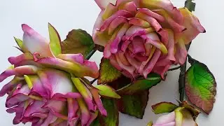 lindas rosas em e.v.a sem frisadores!! super fácil