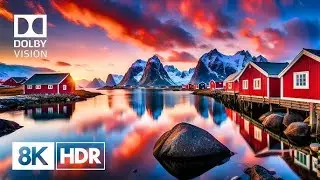 8K HDR Nature Video - Beautiful Landscapes, Birds & Animals in 4K Ultra HD TV