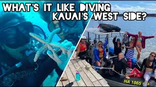WHATS IT LIKE DIVING KAUAI&rsquo;S WEST SIDE???