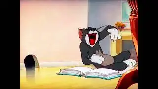 TOM LAUGHING AT THE DALLAS COWBOYS