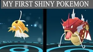Shiny Pokemon magikarp evolves into Red Gyarados in water event