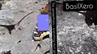basilxero - everything must go (by the weakerthans) #acapella #cover #queercore