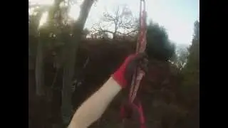 Tree Swing 2014 Scots Pine Caulder valley