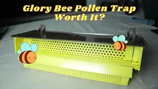 Glory Bee Pollen Trap unboxing and Review