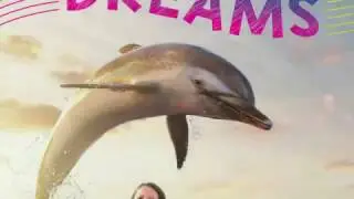 Dolphin Dreams by Catherine Hapka