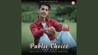 Public Choice Mashup