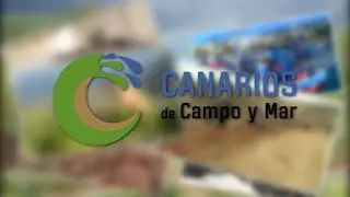 Programa 328 de 