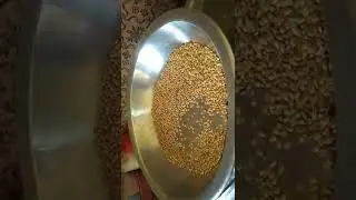 #gundam ka daliya#wheat powder#shorts#viral