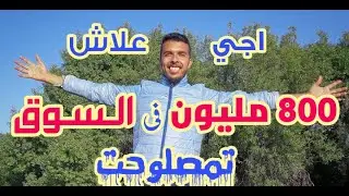 اجي علاش 800 مليون فالسوق الاسبوعي فتمصلوحت