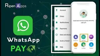 Whatsapp Payment: You can now send and receive money through WhatsApp (2020)
