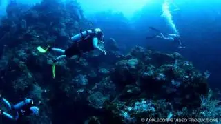 Diving Into The Abyss