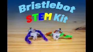 Bristlebot STEM Project in the Engineering Wonder Store