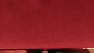 Bugs Perspective