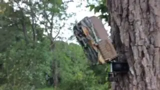 Murphy Metal Art Pivoting Tree Mount for Trail Camera 