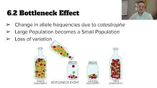 6.2 Genetic Variance