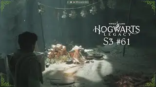 HL-S3#61 | Tapferer Tobbs | Hogwarts Legacy LP