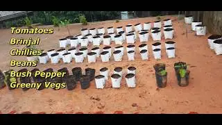 HOW TO SET AN ORGANIC /VEGETABLE /GROW BAG FARMING UNIT-STAGE 2 ARRANGING OF GROW BAG FOR SEEDING