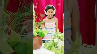 Until I Found You, Song by Stephen Christopher Sanchez, Vocal by Roana Ria Reeves