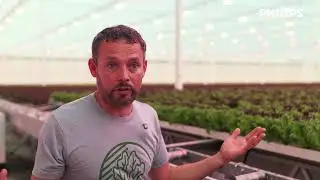 Crop quality, consistency, and efficiency under Philips LED lighting
