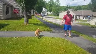 Mark Bazer of Readsboro Vermont continues to stalk and Harass  -(2017)