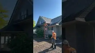 Roof cleaning!