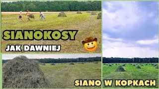 Tradycyjne składanie siana w KOPKI 🌾/ Jak to się kiedyś robiło?