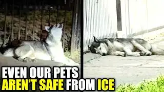 ICE's Cruelty Goes SO MUCH Deeper Than You May Think