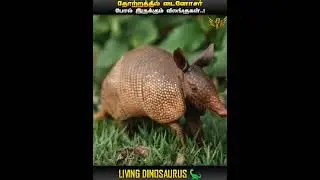 LIVING DINOSAURS || IN TAMIL || MIC LA SOLLU