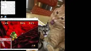 SM64 Live Reaction + TAS 1 Stars 06:34.15