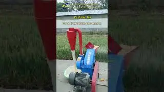 2-4 ton Silage Hammer Mill Grinding Maize Cob to Powder