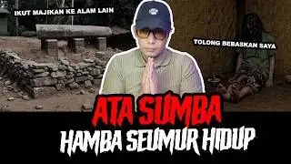 EMPLOYER & BABU FOR LIFE IN SUMBA - TC
