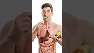 #health #viral #trending #youtubeshorts #trendingshorts
