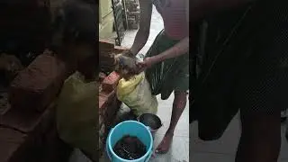 panagilangu vaipadu epadi.. Palm seed 🌱sprouts