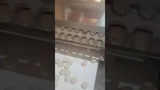 Round Shape Molding Machine