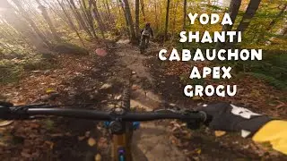 Centre castor de Québec en vélo de montagne