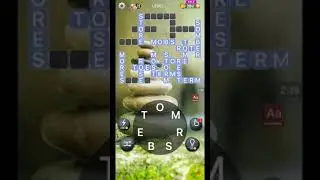 WORD CROSSY LEVEL 4067 ANSWERS