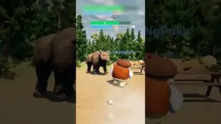 Snake and Bear attack