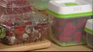 Daytime: FreshWorks Produce Saver
