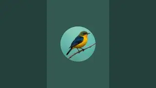 Bird Plus Nature is live!