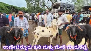 Ranebennur sheep and goats market update Every Sunday morning bazar Karnataka India