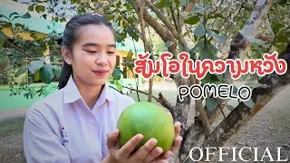 ส้มโอในความหวัง - Pomelo【OFFICIAL MV】