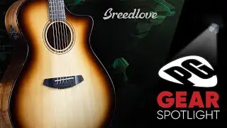 Breedlove Organic Pro Artista - Обзор оборудования
