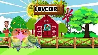 Pet Animals at Home 🐶🐱 | Why We Love Our Pets |  Loving Cats & Caring Companions | Zama Cartoons