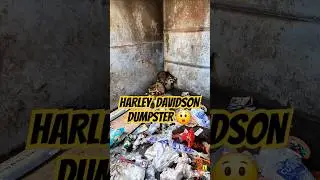 I went to Harley Davidsons dumpster and  found animals! #harleydavidson #animals #dumpsterdiving